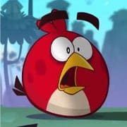 Angry Flocks