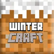 Winter Craft game